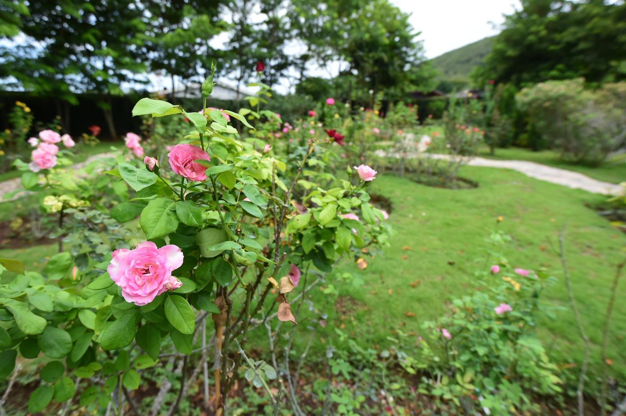 Rose Villa Hote Pak Chong Esterno foto
